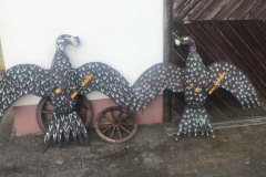 Kaiser-u.-Koenigsvogel